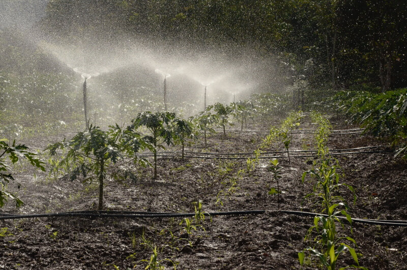 agricultural sprinkler system setup